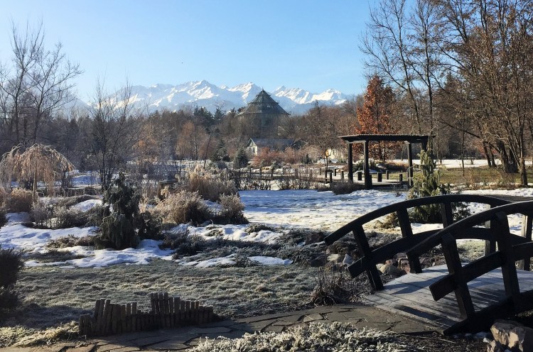 Looking out to Ile-Alatau National Park from the Botanical Gardens