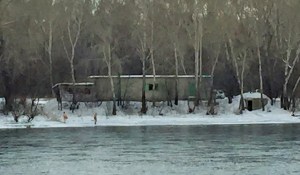 Mad locals going for a swim