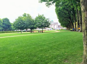 Maybe I arrived a little early...