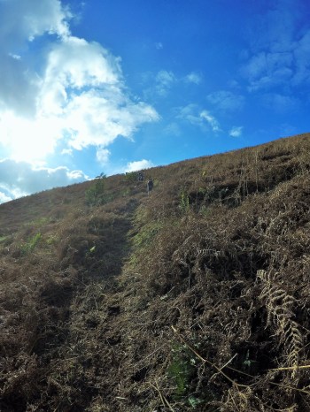 Just another reminder ... this was looking up on the hill from hell.