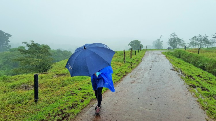 There's a volcano in the background. For $130, you get to see it...